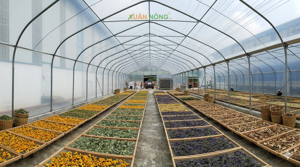 Báo Giá Nhà Kính Phơi Thuốc Nam 2026