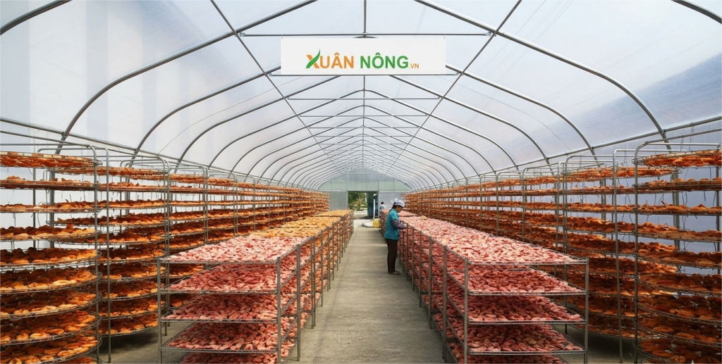 Báo giá nhà kính phơi tôm khô