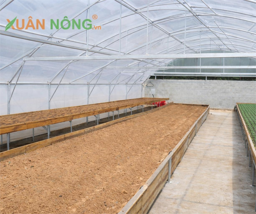 Báo giá nhà kính phơi xác mắm 2026