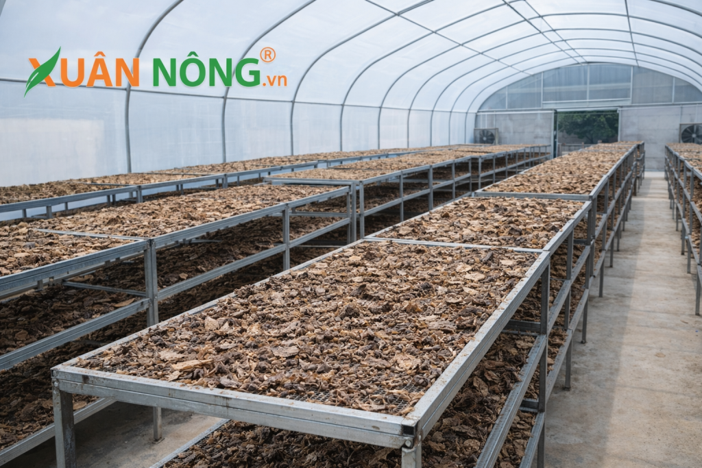 Báo giá nhà kính phơi xác mắm 2026