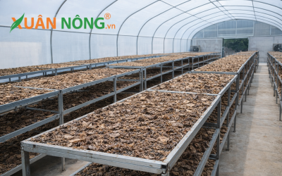 Báo Giá Nhà Kính Phơi Xác Mắm 2026 — Lợi Nhuận Từ Phụ Phẩm