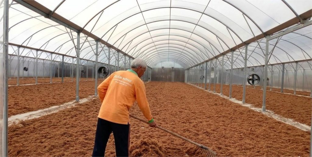 Báo giá nhà kính phơi xơ dừa 2026