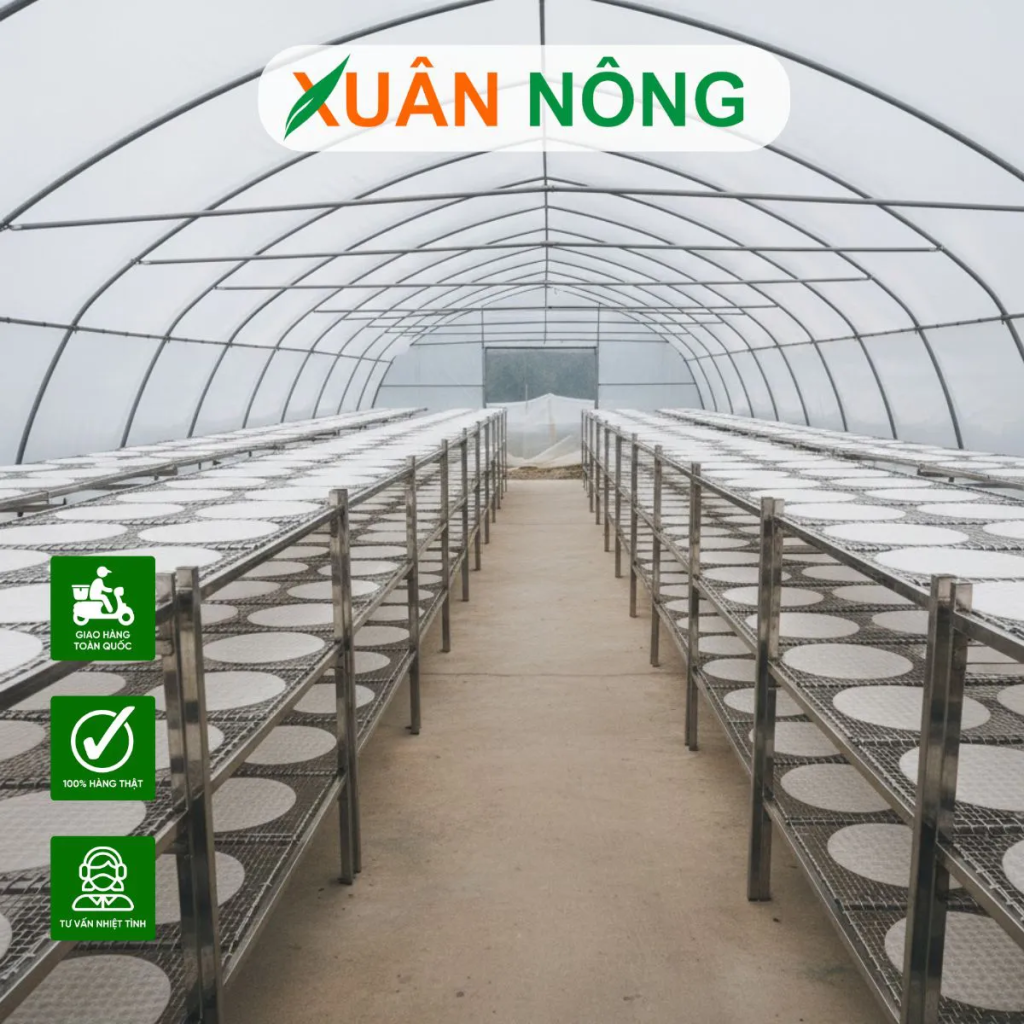 nhà kính phơi bánh tráng