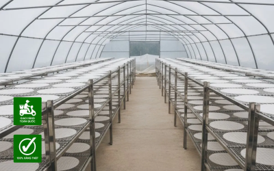 Nhà Kính Phơi Bánh Tráng – Giải Pháp Phơi Nhanh, Sạch, Tăng Năng Suất