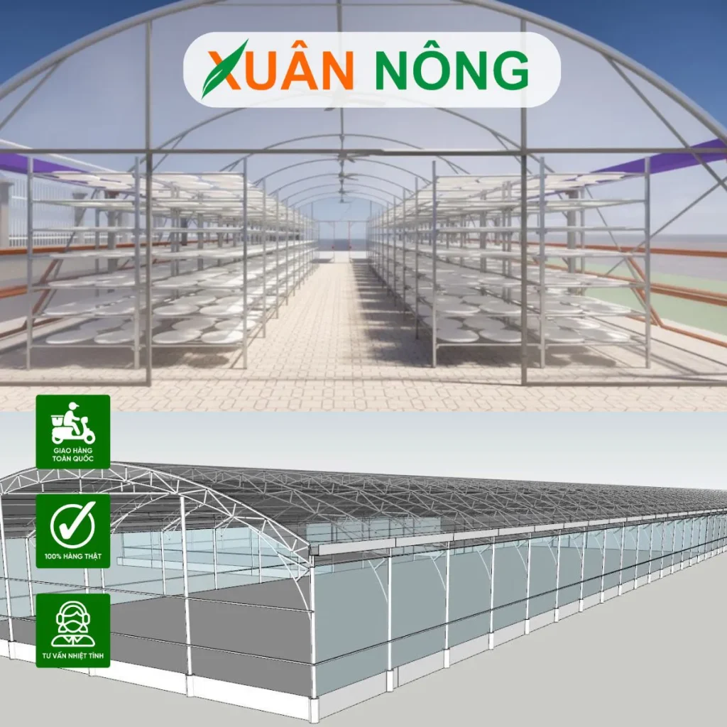 nhà kính phơi bánh tráng tại Tây Ninh